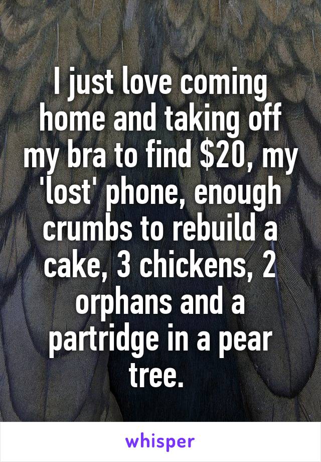 I just love coming home and taking off my bra to find $20, my 'lost' phone, enough crumbs to rebuild a cake, 3 chickens, 2 orphans and a partridge in a pear tree. 