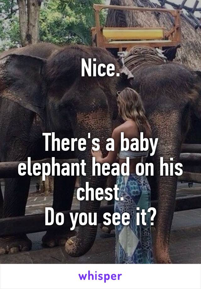 Nice.


There's a baby elephant head on his chest.
Do you see it?