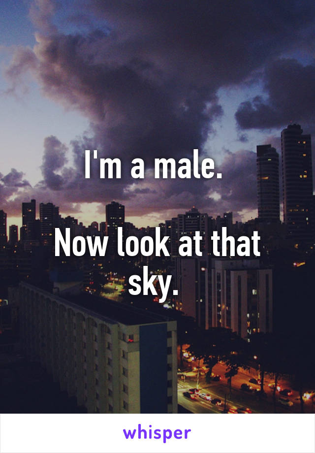 I'm a male. 

Now look at that sky. 