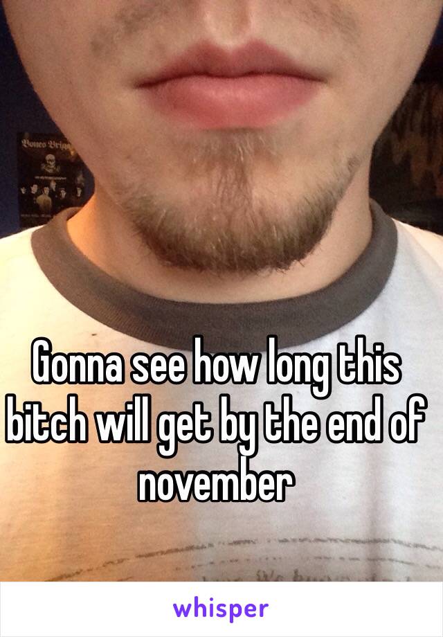 Gonna see how long this bitch will get by the end of november