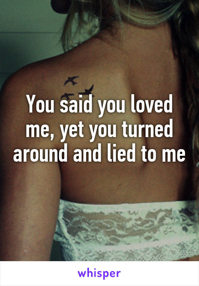 You said you loved me, yet you turned around and lied to me 