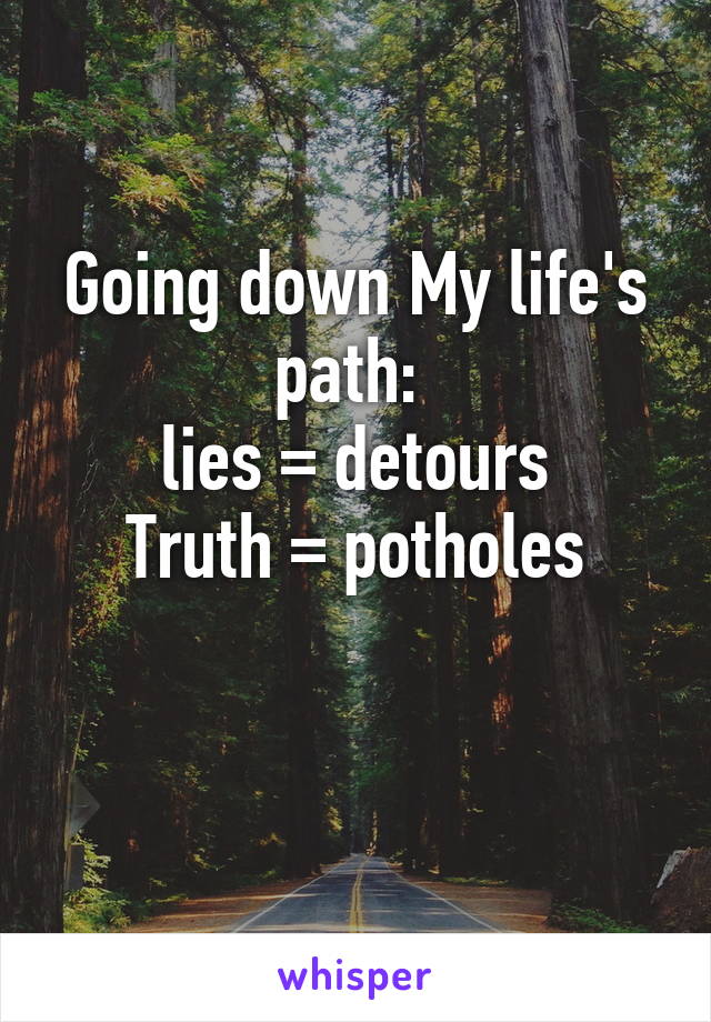 Going down My life's path: 
lies = detours
Truth = potholes

