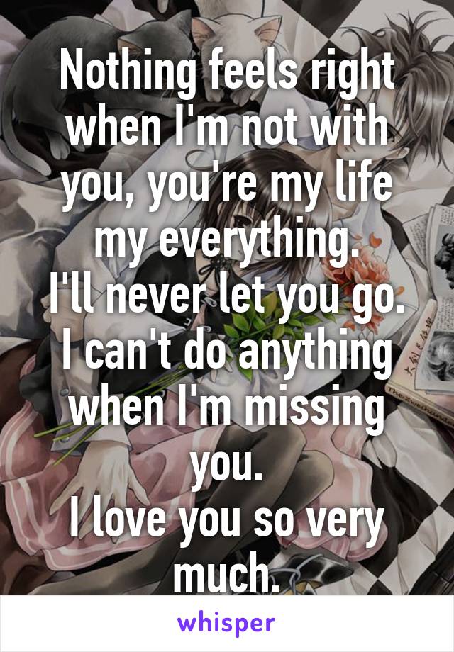 Nothing feels right when I'm not with you, you're my life my everything.
I'll never let you go.
I can't do anything when I'm missing you.
I love you so very much.