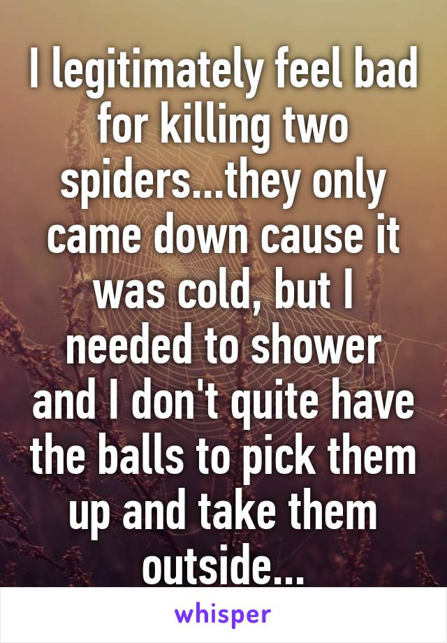 I legitimately feel bad for killing two spiders...they only came down cause it was cold, but I needed to shower and I don't quite have the balls to pick them up and take them outside...