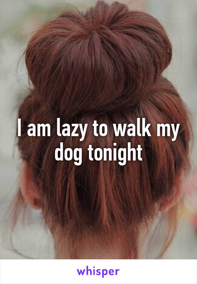 I am lazy to walk my dog tonight