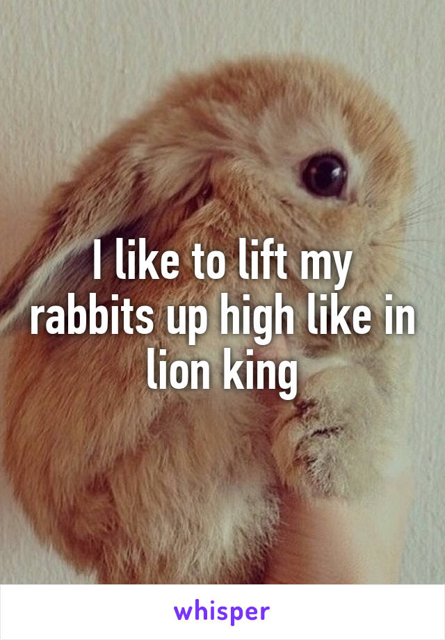 I like to lift my rabbits up high like in lion king