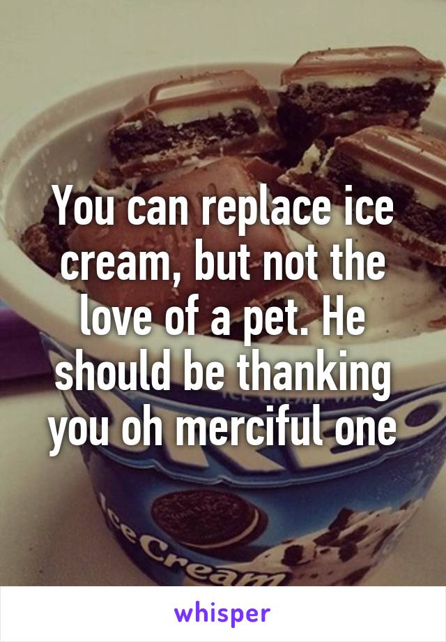 You can replace ice cream, but not the love of a pet. He should be thanking you oh merciful one