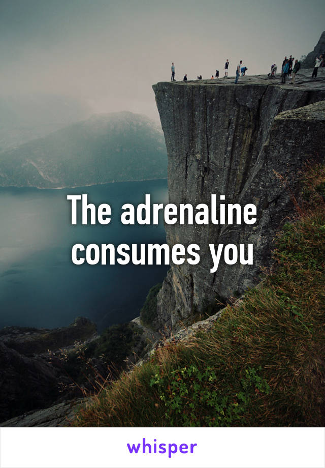 The adrenaline consumes you