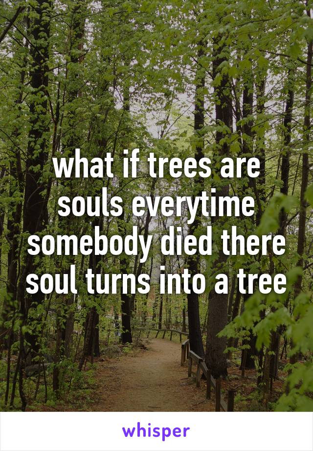 what if trees are souls everytime somebody died there soul turns into a tree