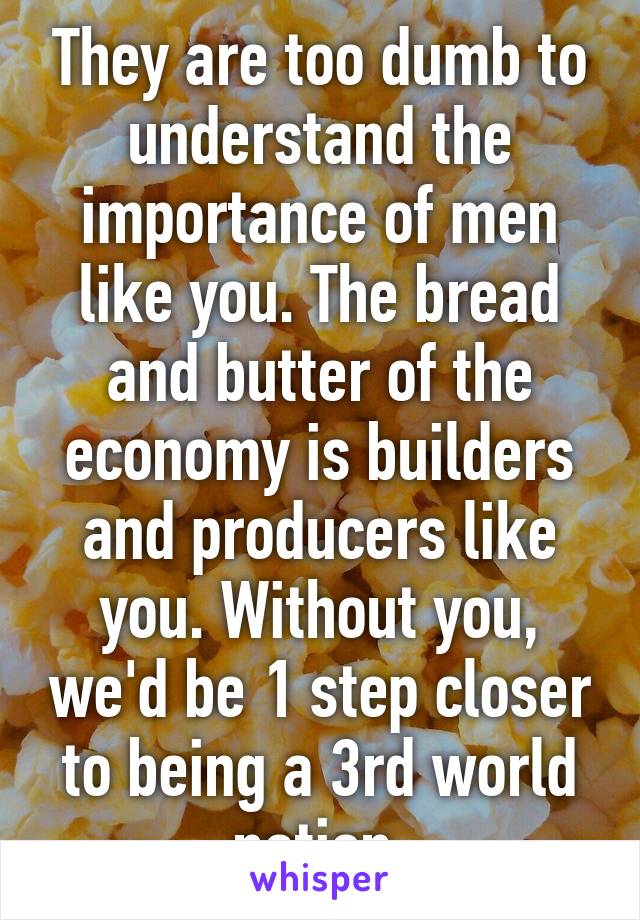 They are too dumb to understand the importance of men like you. The bread and butter of the economy is builders and producers like you. Without you, we'd be 1 step closer to being a 3rd world nation.