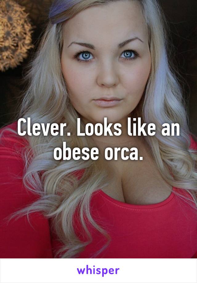 Clever. Looks like an obese orca.