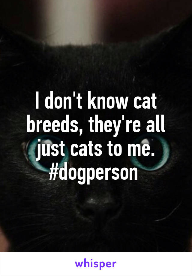 I don't know cat breeds, they're all just cats to me. #dogperson 