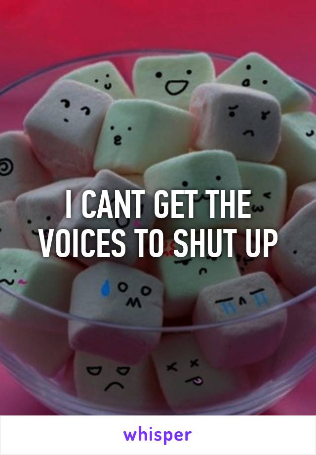 I CANT GET THE VOICES TO SHUT UP