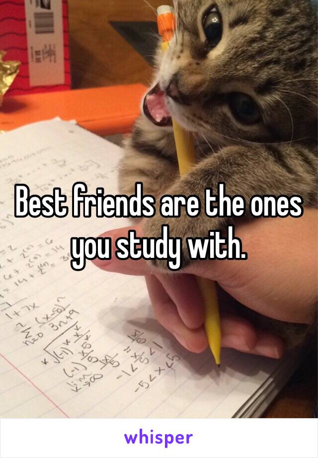 Best friends are the ones you study with.