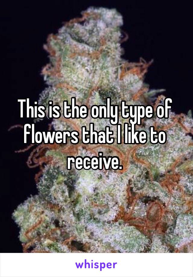 This is the only type of flowers that I like to receive. 