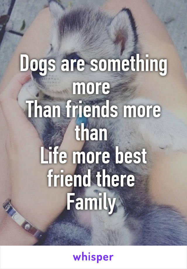 Dogs are something more 
Than friends more than 
Life more best friend there 
Family 