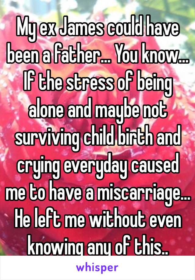 My ex James could have been a father... You know... If the stress of being alone and maybe not surviving child birth and crying everyday caused me to have a miscarriage... 
He left me without even knowing any of this..