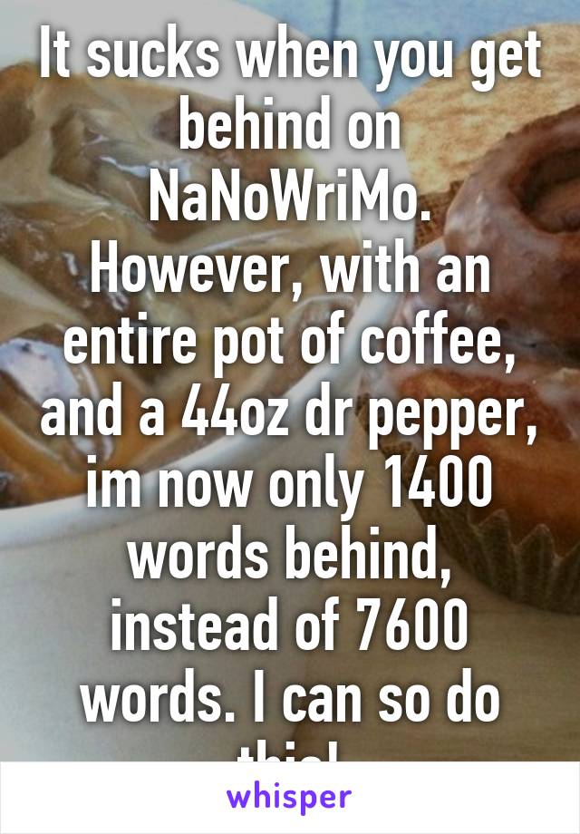 It sucks when you get behind on NaNoWriMo. However, with an entire pot of coffee, and a 44oz dr pepper, im now only 1400 words behind, instead of 7600 words. I can so do this!