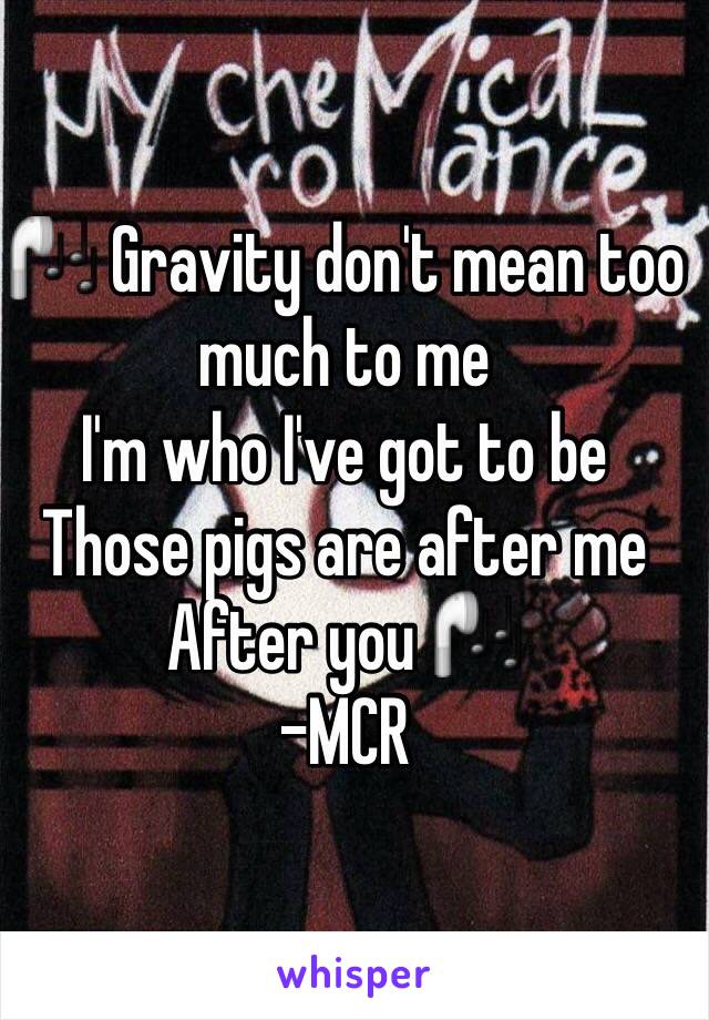 🎧 Gravity don't mean too much to me
I'm who I've got to be
Those pigs are after me
After you 🎧
-MCR