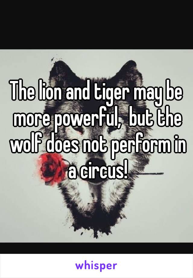 The lion and tiger may be more powerful,  but the wolf does not perform in a circus!