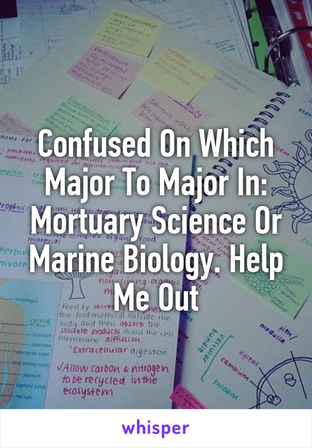 Confused On Which Major To Major In: Mortuary Science Or Marine Biology. Help Me Out