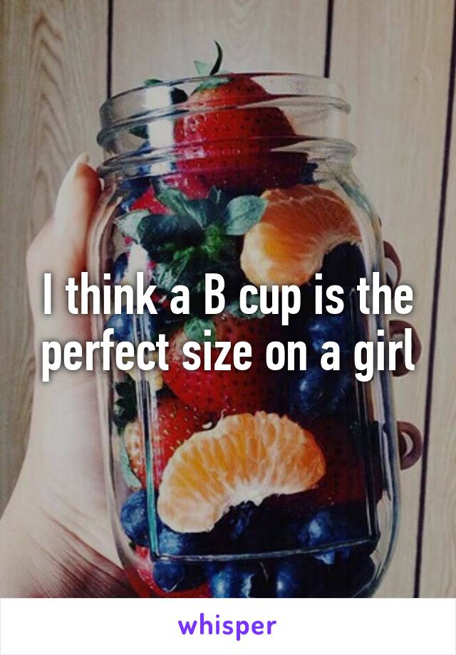 I think a B cup is the perfect size on a girl