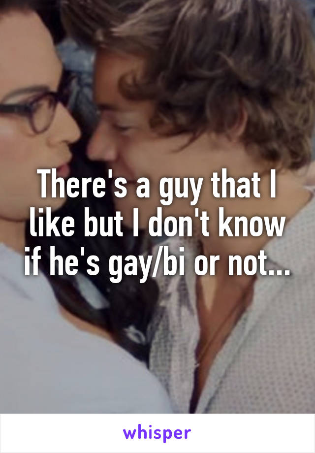 There's a guy that I like but I don't know if he's gay/bi or not...