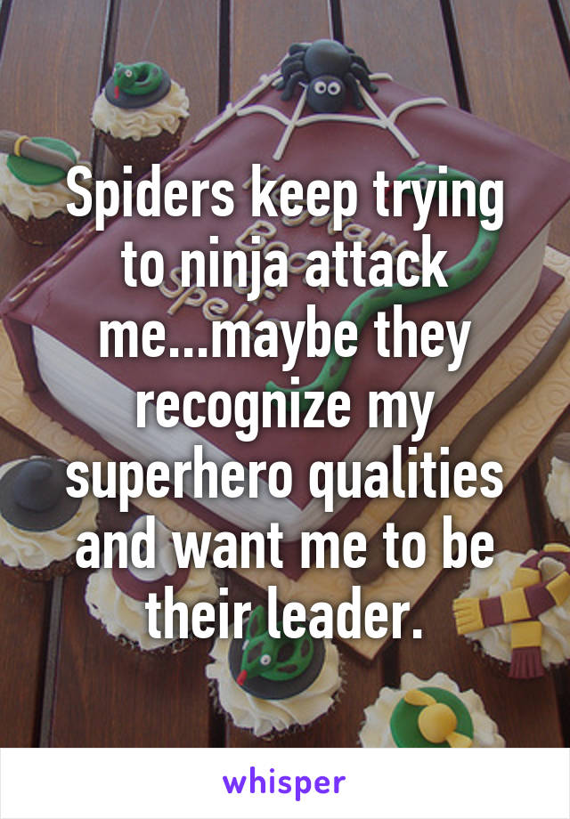 Spiders keep trying to ninja attack me...maybe they recognize my superhero qualities and want me to be their leader.