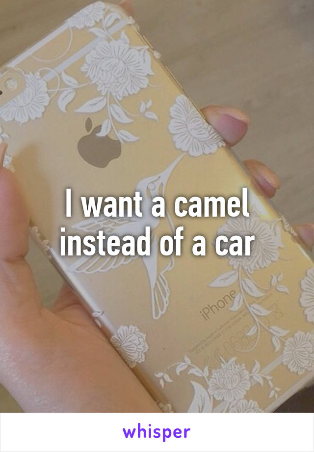 I want a camel instead of a car