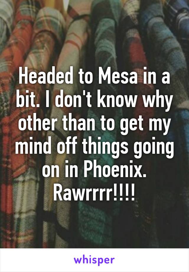 Headed to Mesa in a bit. I don't know why other than to get my mind off things going on in Phoenix. Rawrrrr!!!!