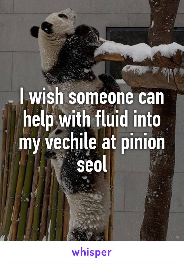 I wish someone can help with fluid into my vechile at pinion seol