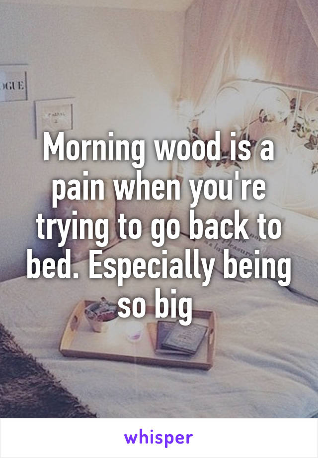 Morning wood is a pain when you're trying to go back to bed. Especially being so big 