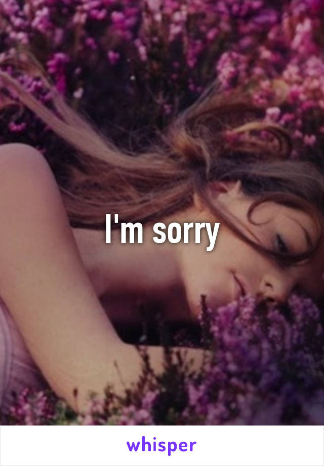 I'm sorry