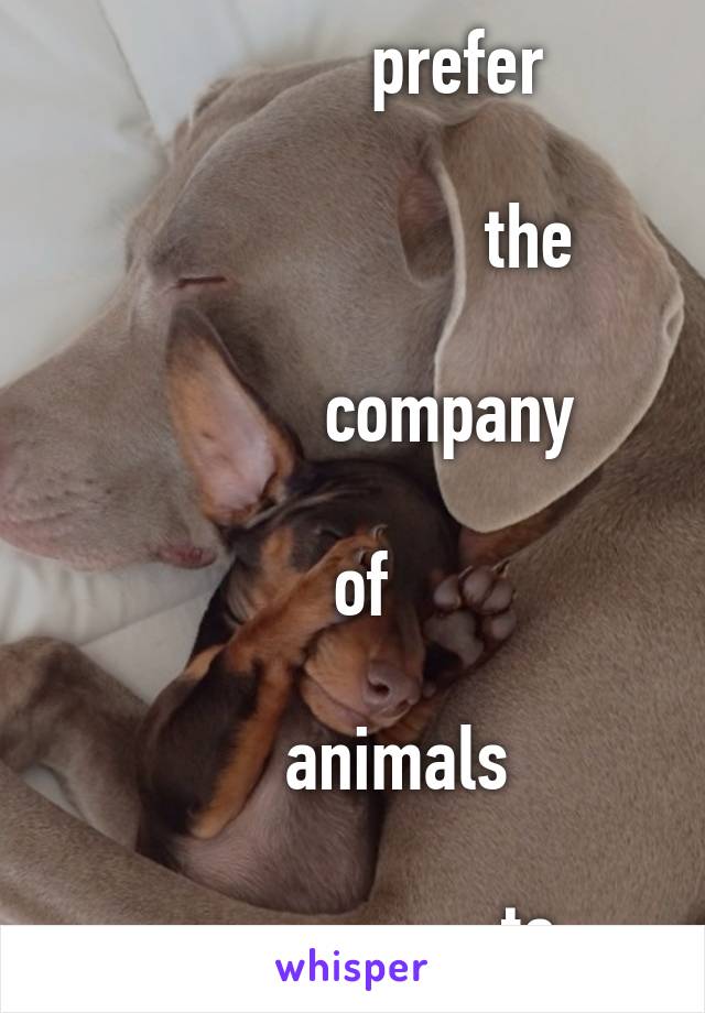 I 

             prefer 

                     the 

            company 

  of 

      animals 

                     to 

               humans.