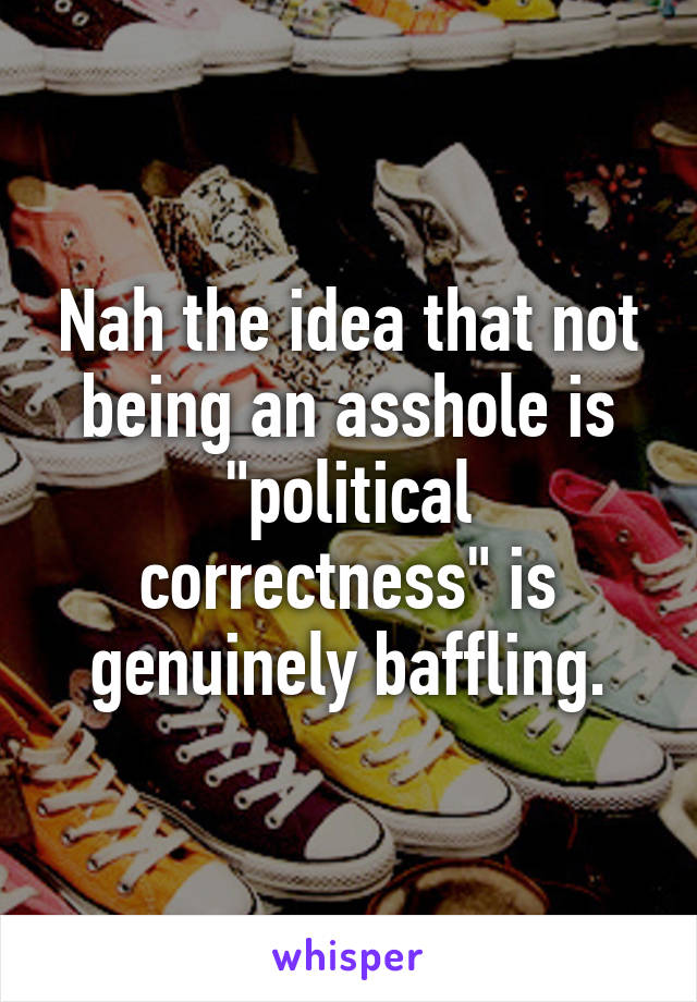 Nah the idea that not being an asshole is "political correctness" is genuinely baffling.