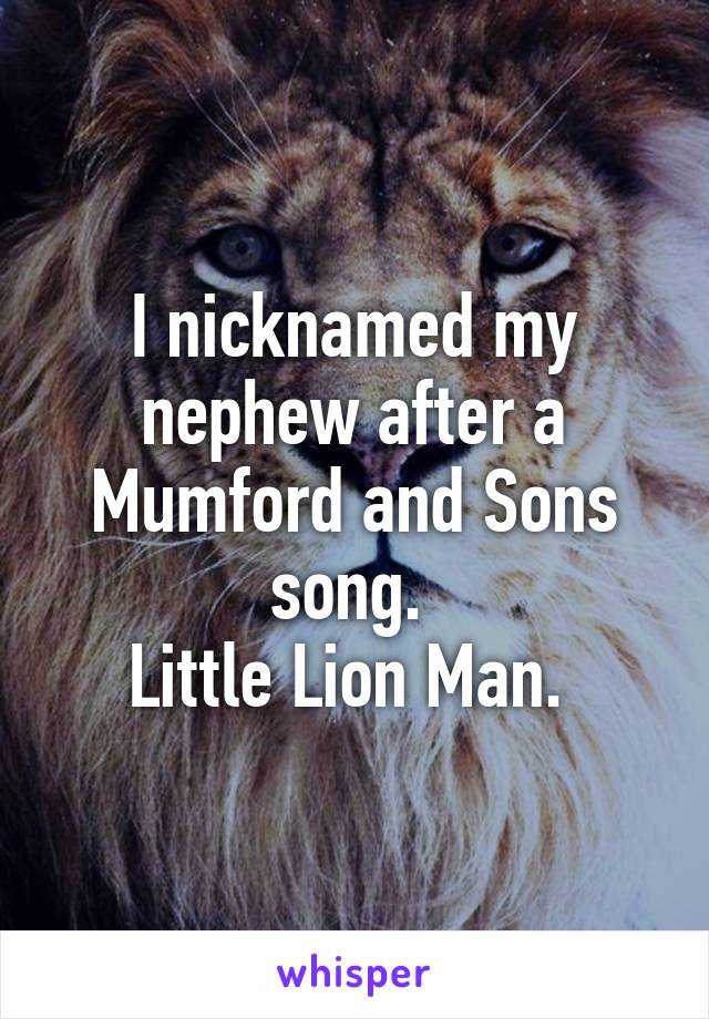 I nicknamed my nephew after a Mumford and Sons song. 
Little Lion Man. 