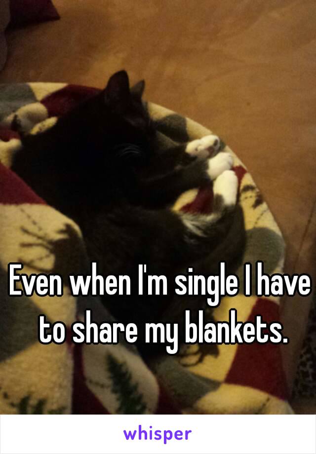 Even when I'm single I have to share my blankets.