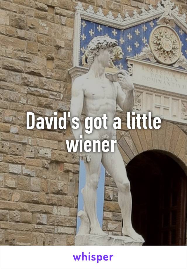 David's got a little wiener 