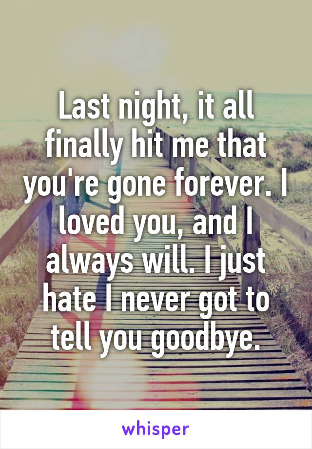 Last night, it all finally hit me that you're gone forever. I loved you, and I always will. I just hate I never got to tell you goodbye.