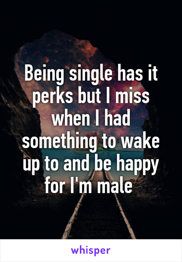 Being single has it perks but I miss when I had something to wake up to and be happy for I'm male 