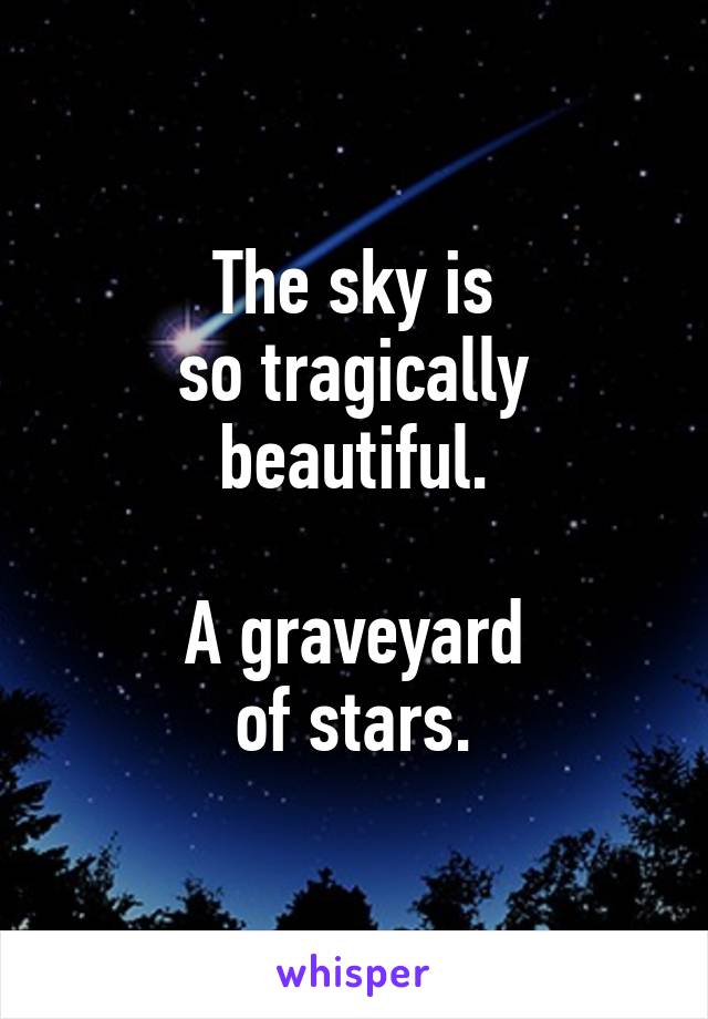 The sky is
so tragically
beautiful.

A graveyard
of stars.
