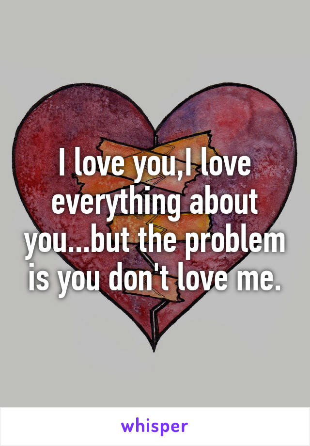 I love you,I love everything about you...but the problem is you don't love me.