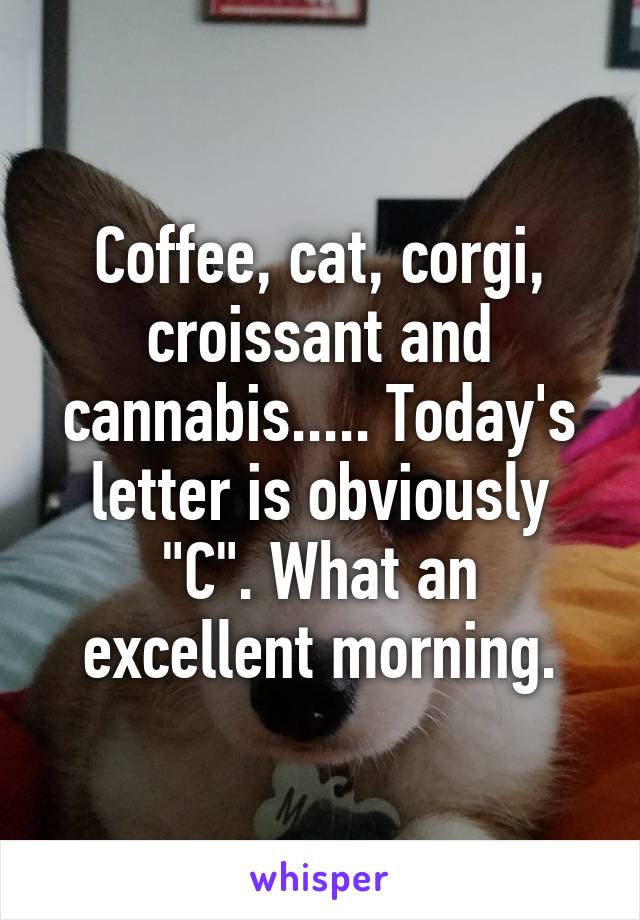 Coffee, cat, corgi, croissant and cannabis..... Today's letter is obviously "C". What an excellent morning.