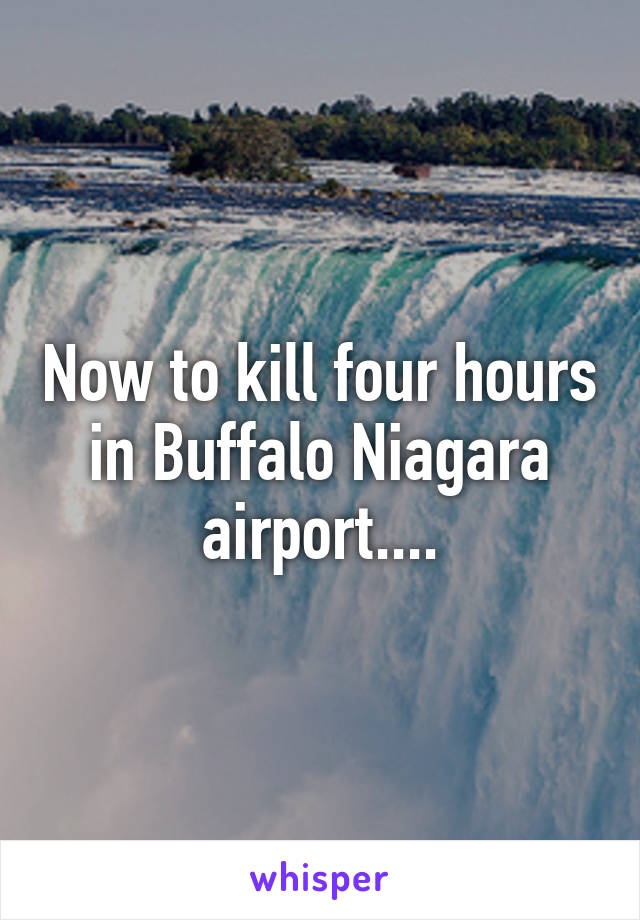 Now to kill four hours in Buffalo Niagara airport....