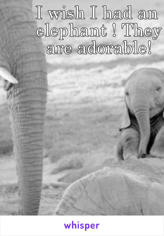 I wish I had an elephant ! They are adorable!