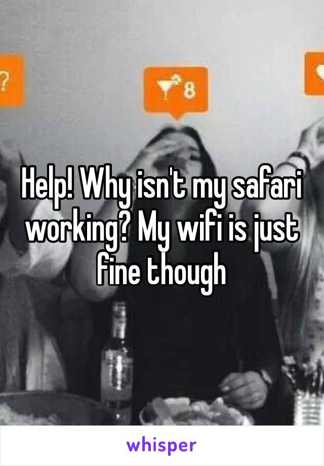 Help! Why isn't my safari working? My wifi is just fine though