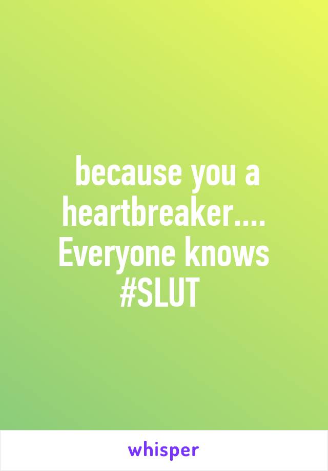  because you a heartbreaker.... Everyone knows #SLUT 