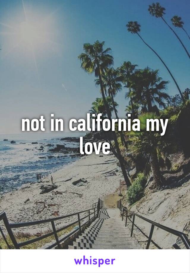 not in california my love