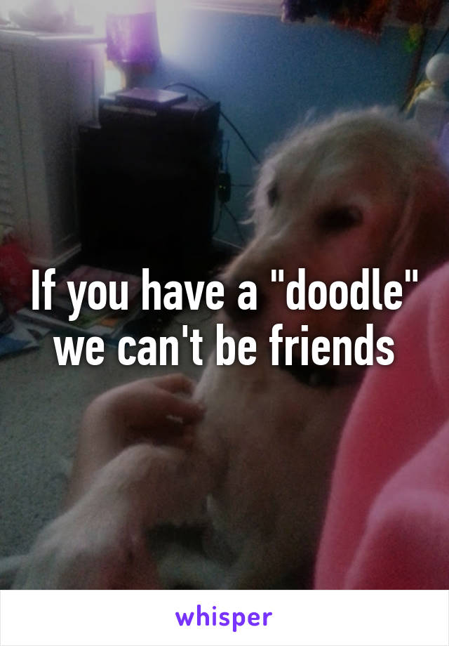 If you have a "doodle" we can't be friends