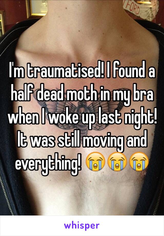 I'm traumatised! I found a half dead moth in my bra when I woke up last night! It was still moving and everything! 😭😭😭